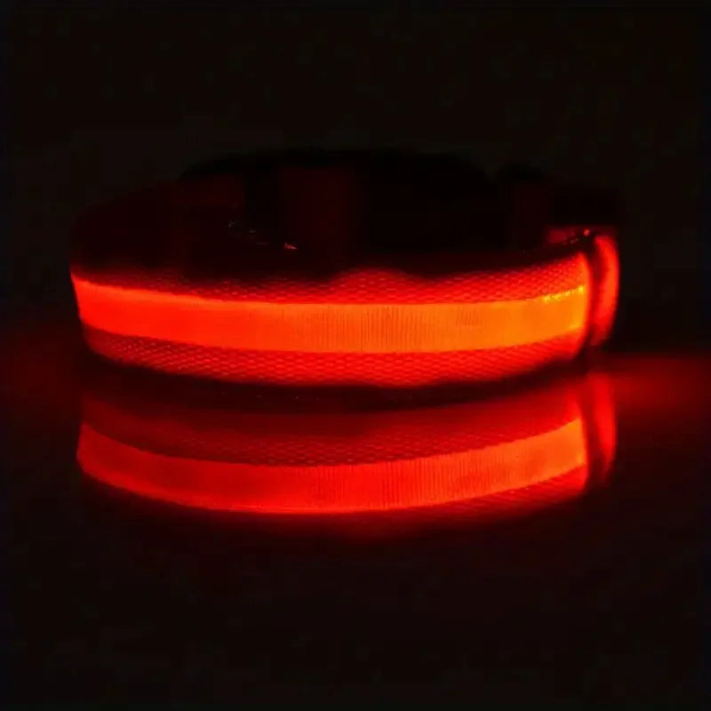LED Glow Dog Leash & Collar