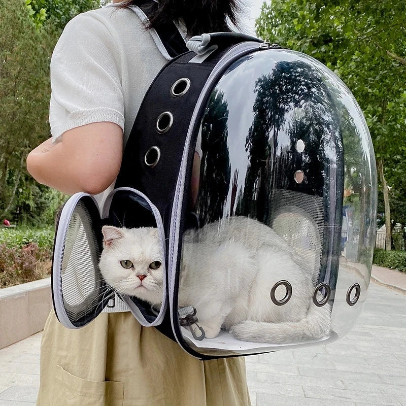 Cat Carrying Backpacks Breathable - Portable Transparent