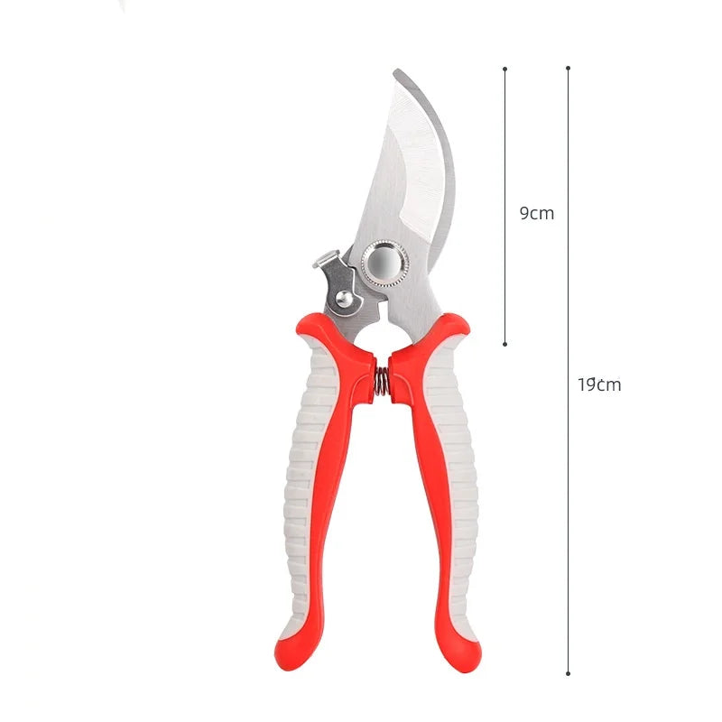 Professional Garden Scissors
