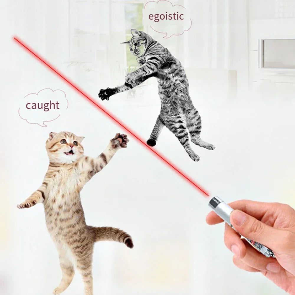 Teasing Cat Laser Pointer