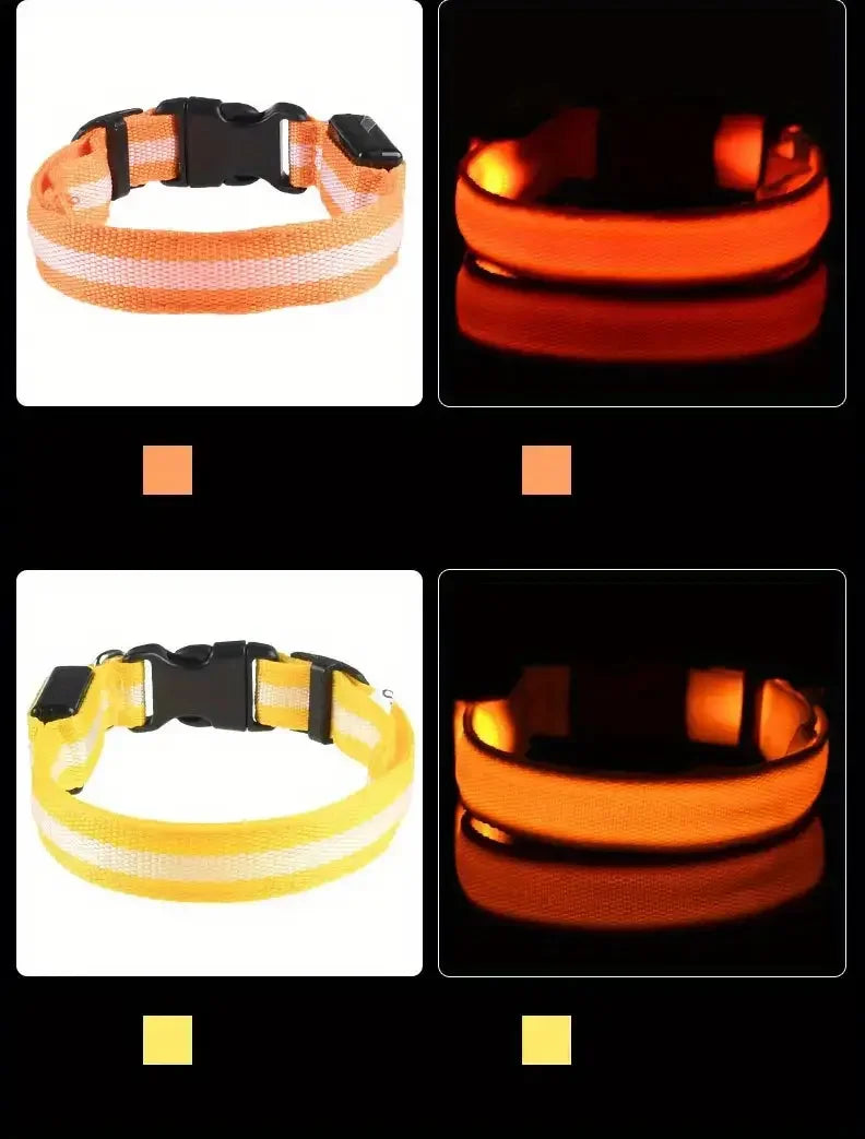 LED Glow Dog Leash & Collar
