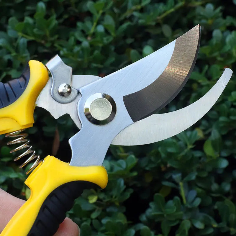 Professional Garden Scissors