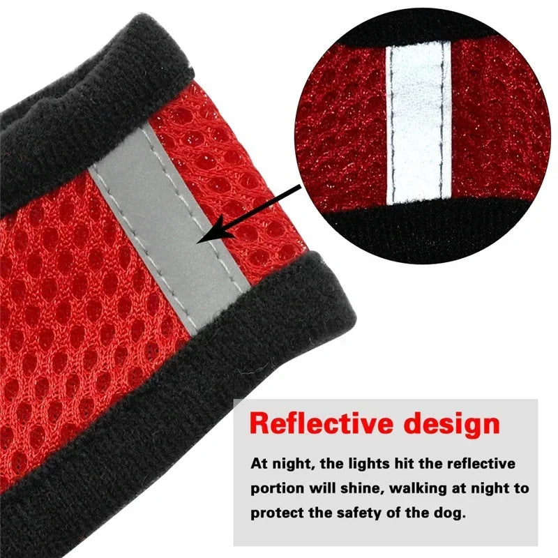 Adjustable Mesh Pet Harness
