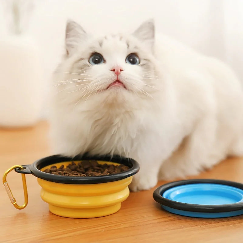 350ml Folding Pet Bowl – Portable Travel Dog & Cat Bowl with Keychain