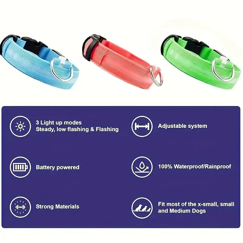 LED Glow Dog Leash & Collar