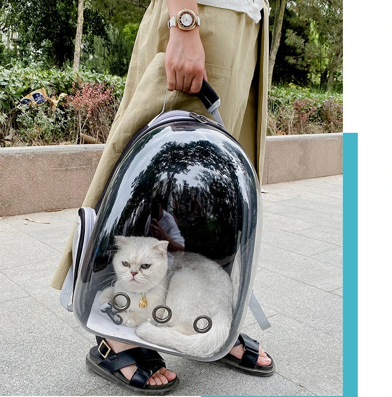 Cat Carrying Backpacks Breathable - Portable Transparent