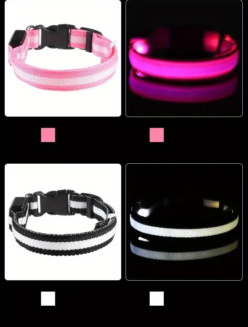 LED Glow Dog Leash & Collar