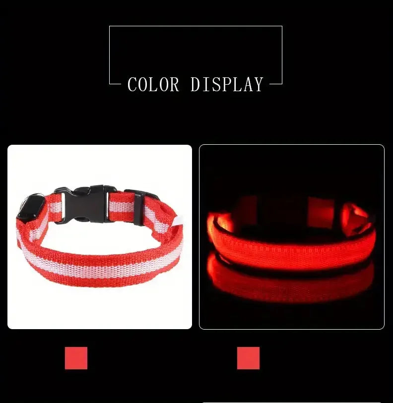 LED Glow Dog Leash & Collar