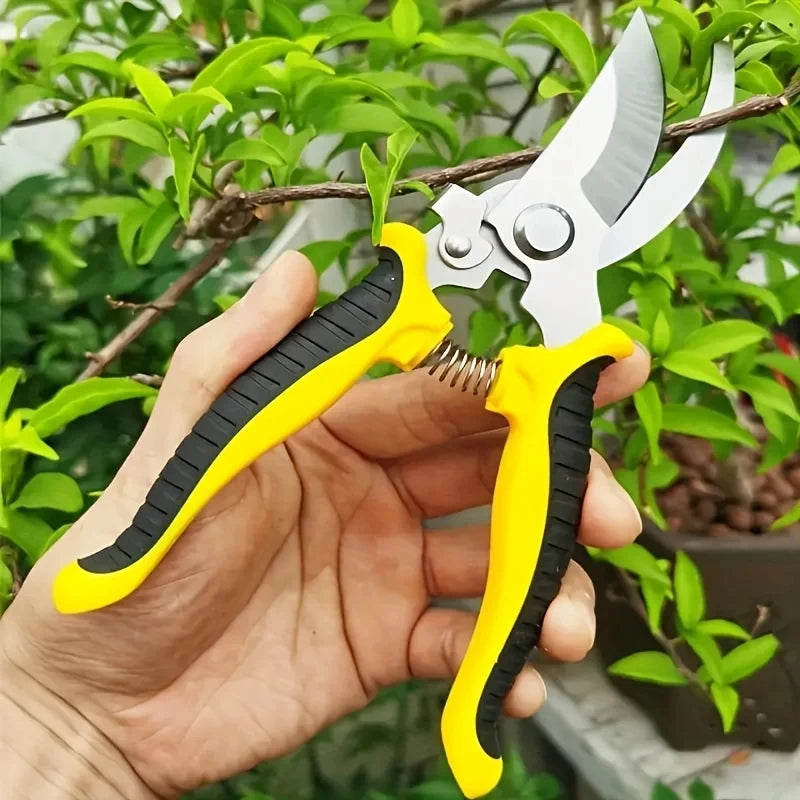 Professional Garden Scissors