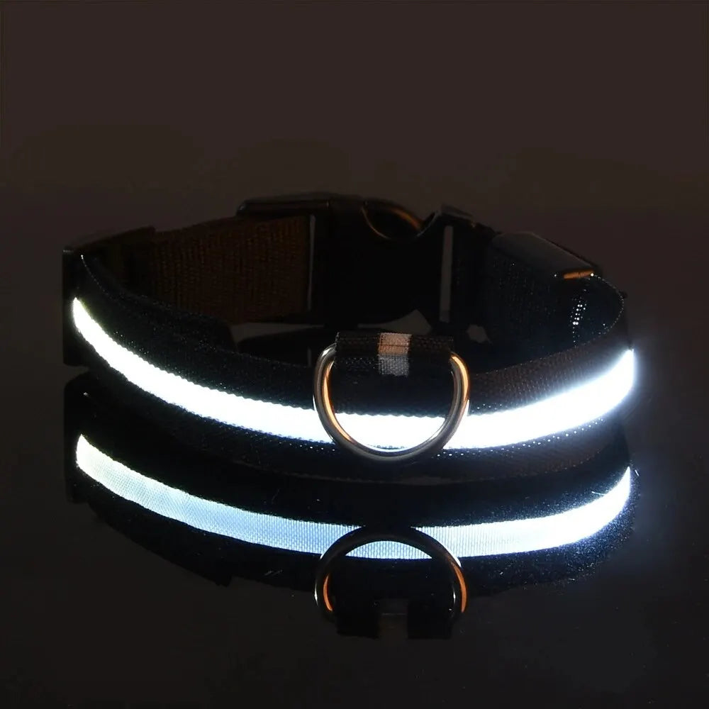 LED Glow Dog Leash & Collar