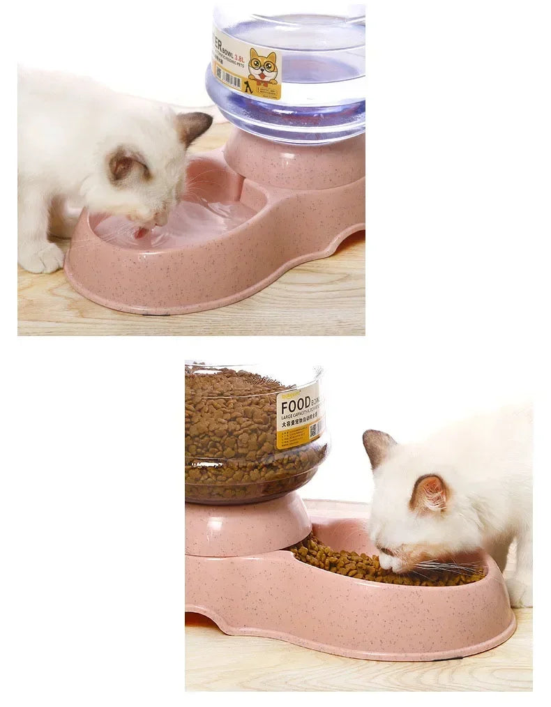 Automatic Pet Feeder and Water Dispenser