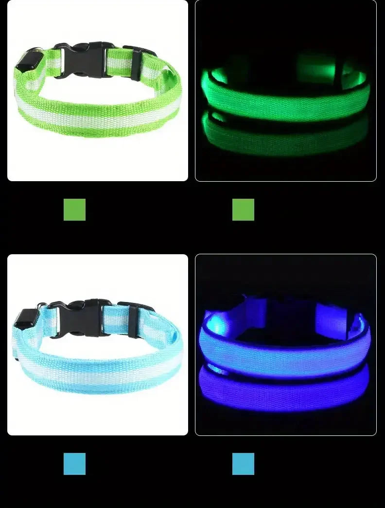 LED Glow Dog Leash & Collar