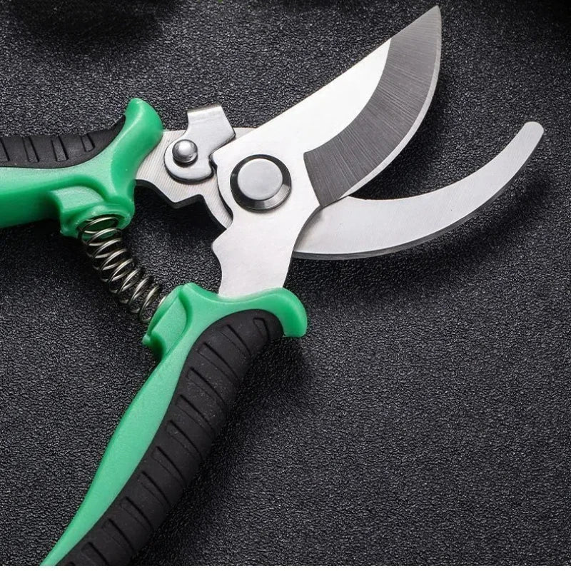 Professional Garden Scissors