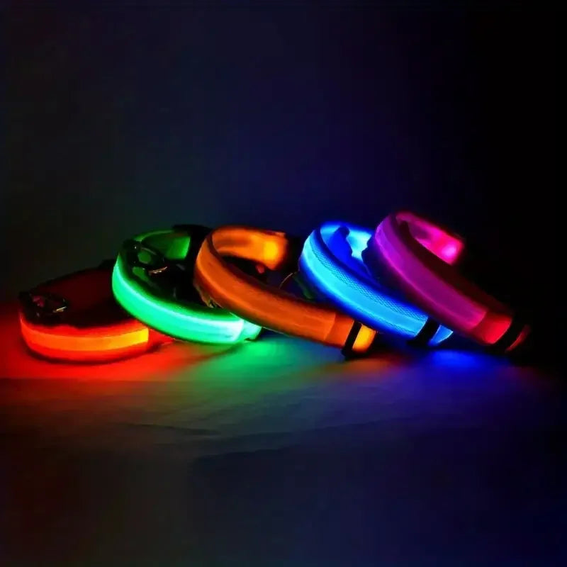 LED Glow Dog Leash & Collar