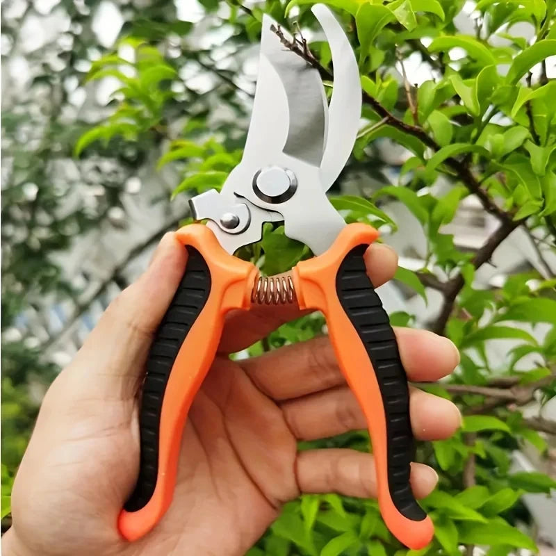 Professional Garden Scissors