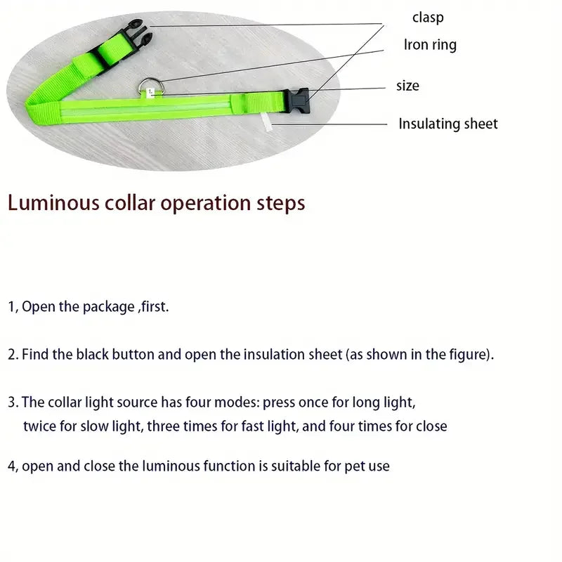 LED Glow Dog Leash & Collar