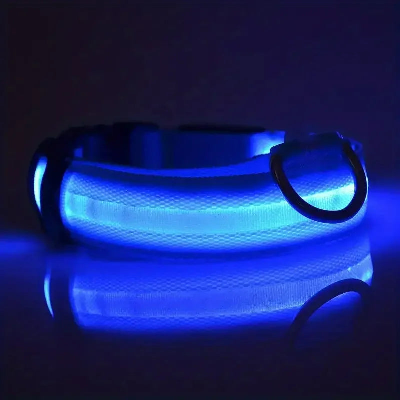 LED Glow Dog Leash & Collar