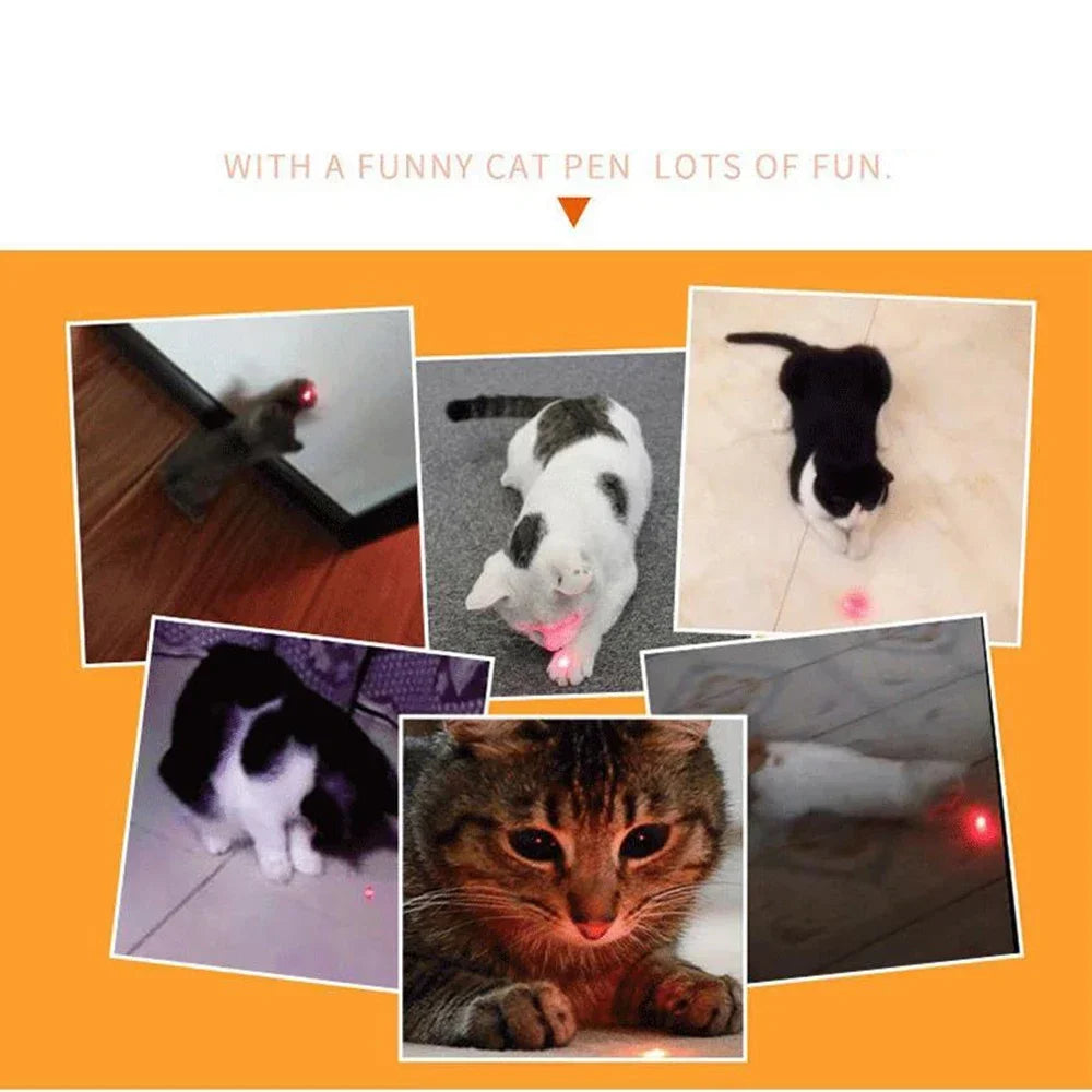Teasing Cat Laser Pointer