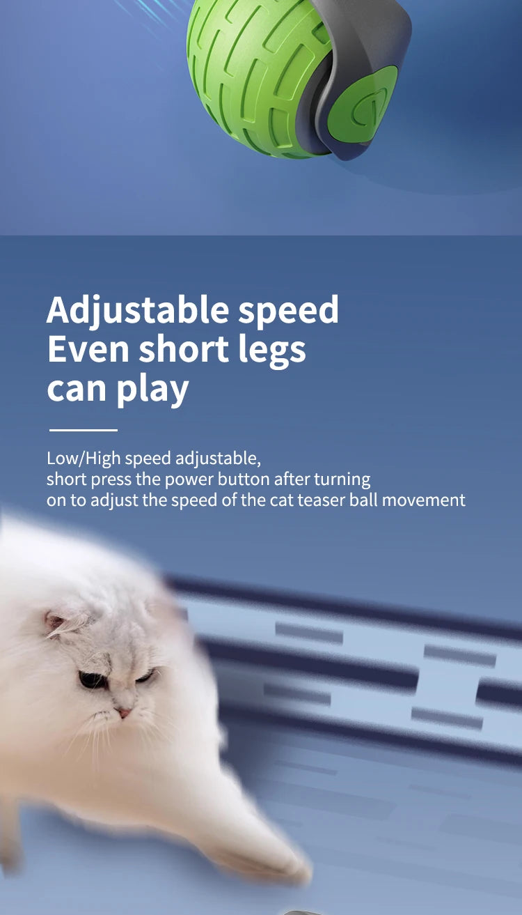 Interactive Electric Rolling Cat Toy