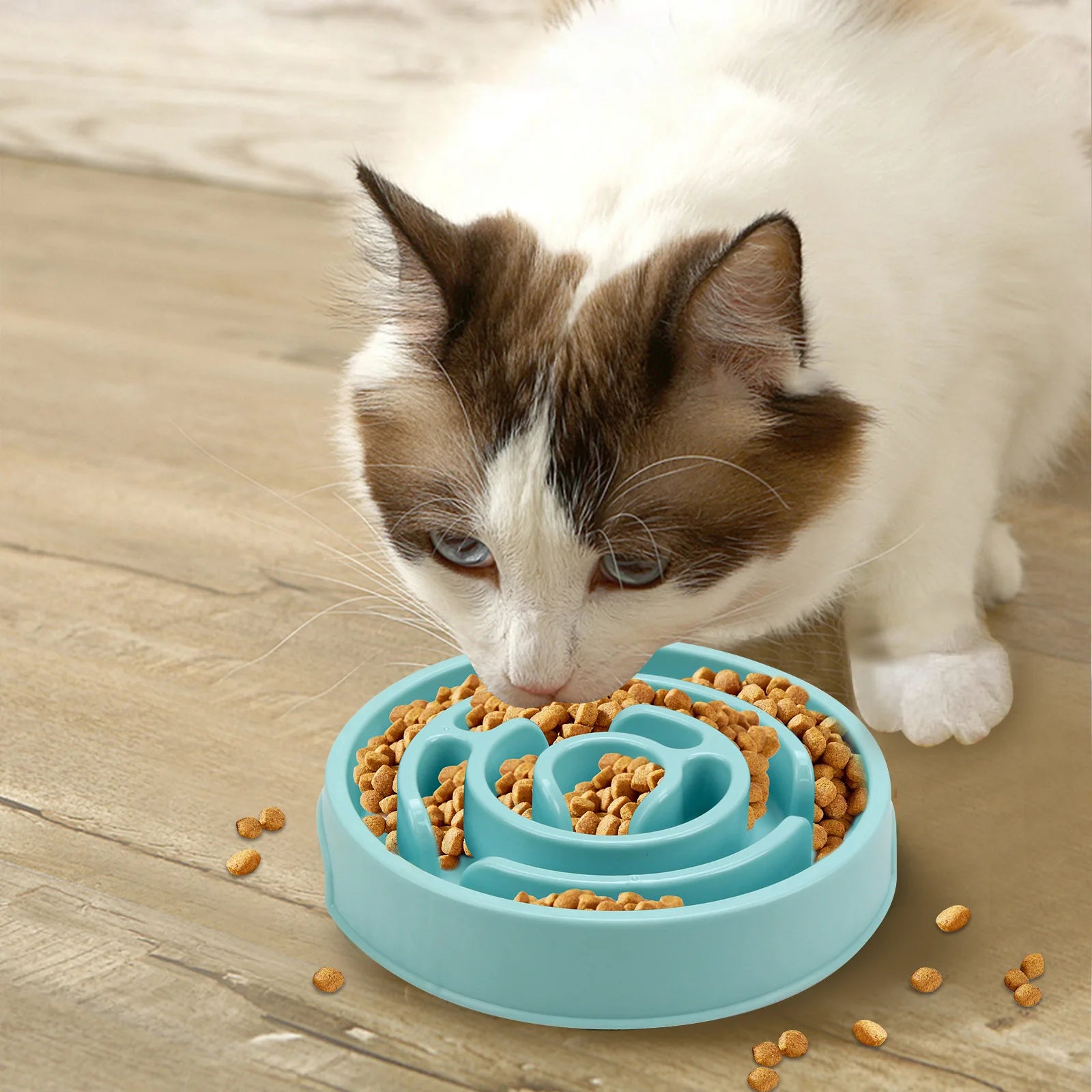 Pet Food Bowl - Non slip and Durable