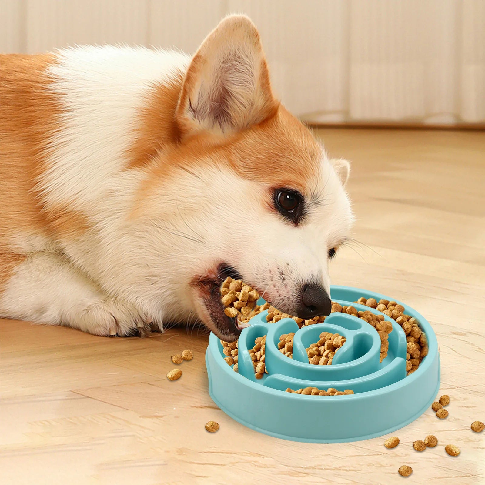 Pet Food Bowl - Non slip and Durable