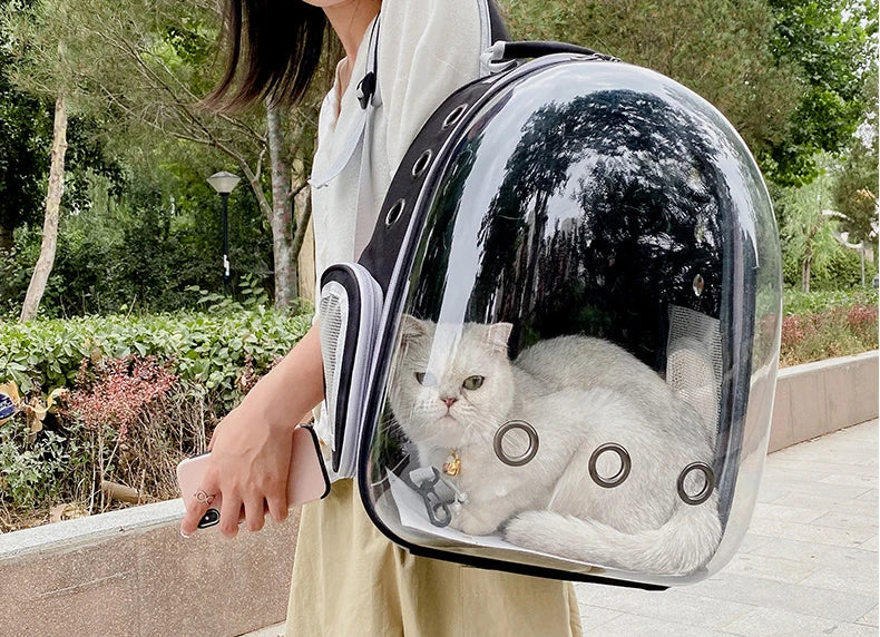 Cat Carrying Backpacks Breathable - Portable Transparent