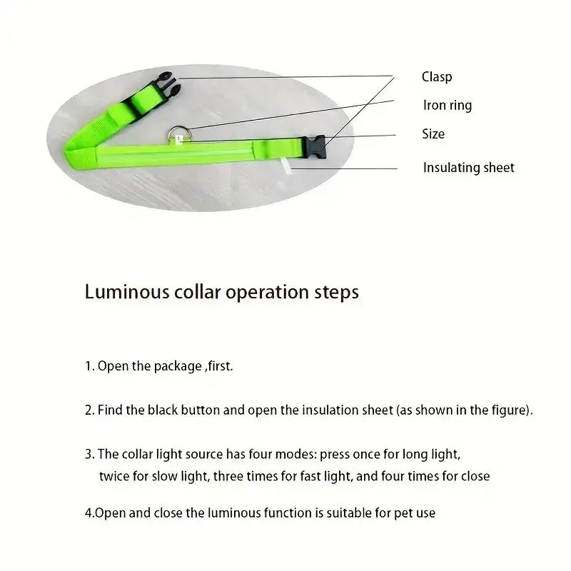 LED Glow Dog Leash & Collar