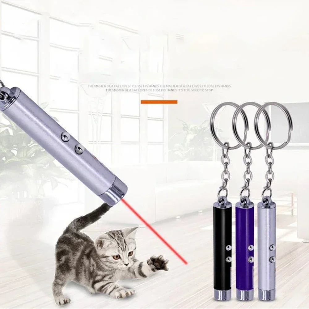 Teasing Cat Laser Pointer