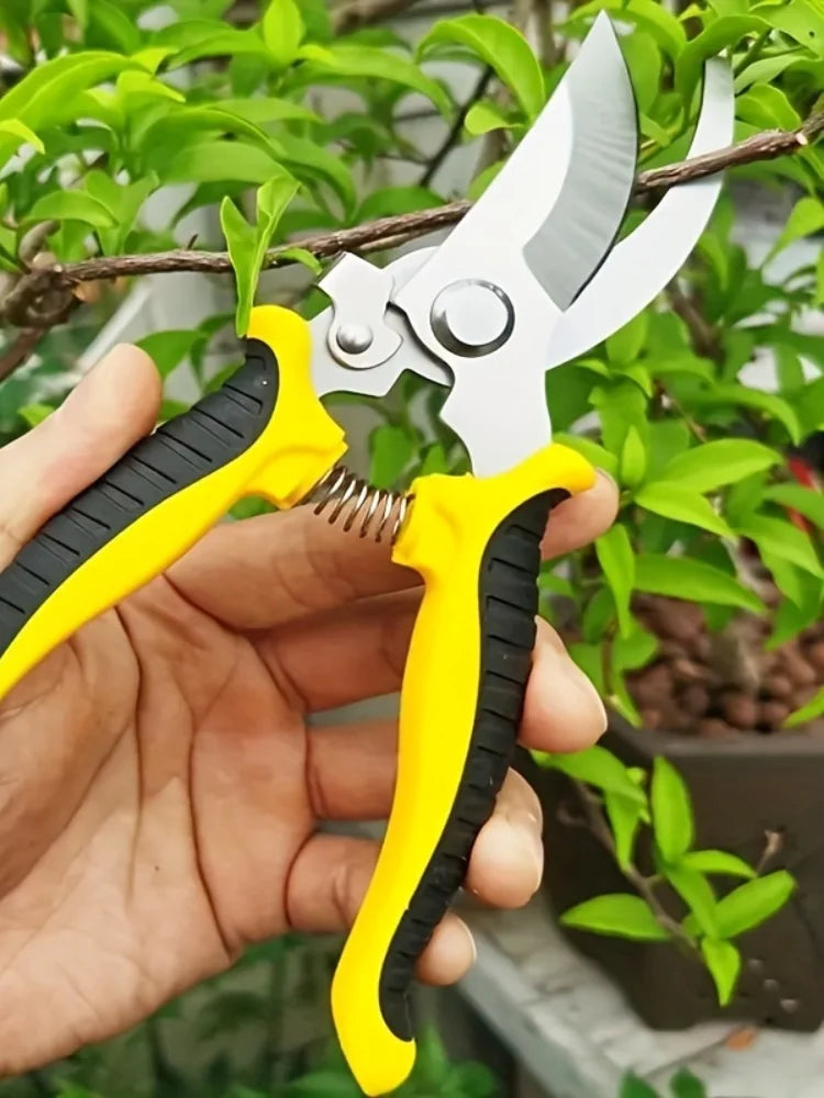 Professional Garden Scissors