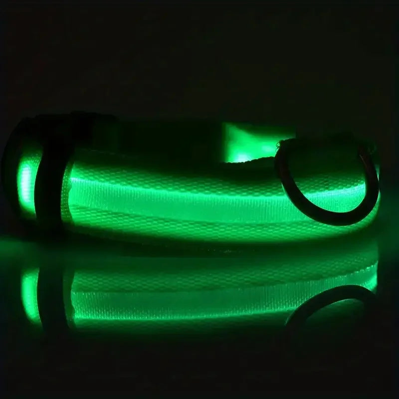 LED Glow Dog Leash & Collar