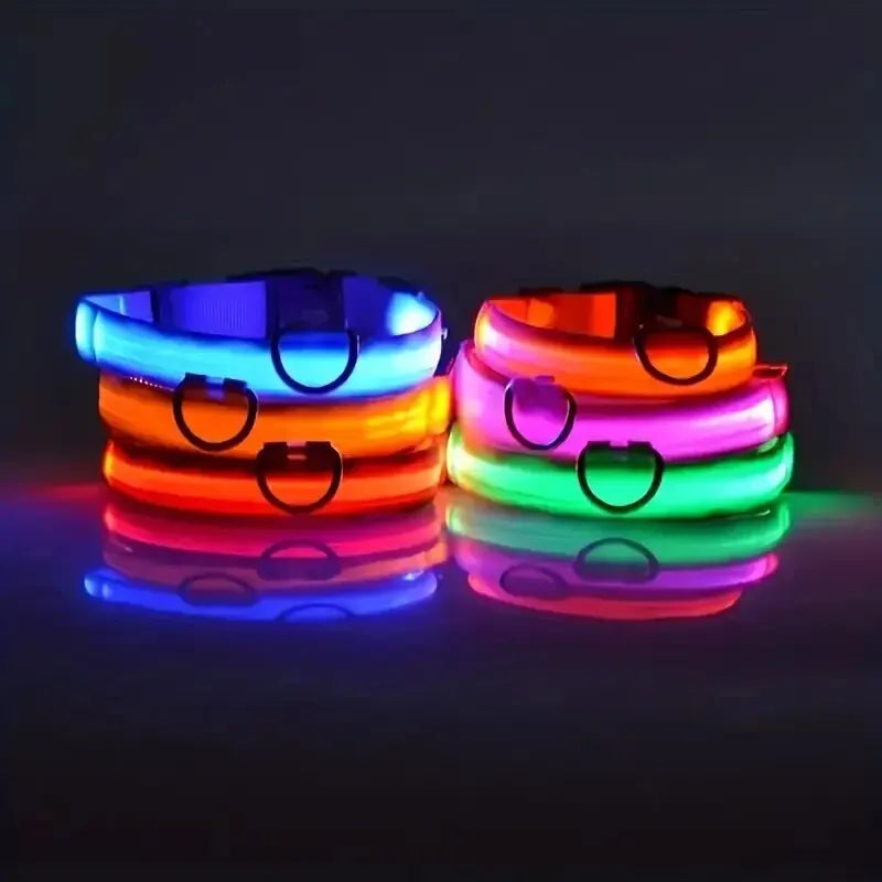 LED Glow Dog Leash & Collar