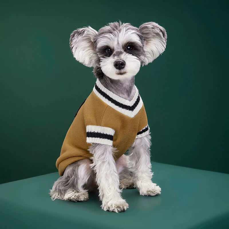 Autumn Winter Pet Sweater