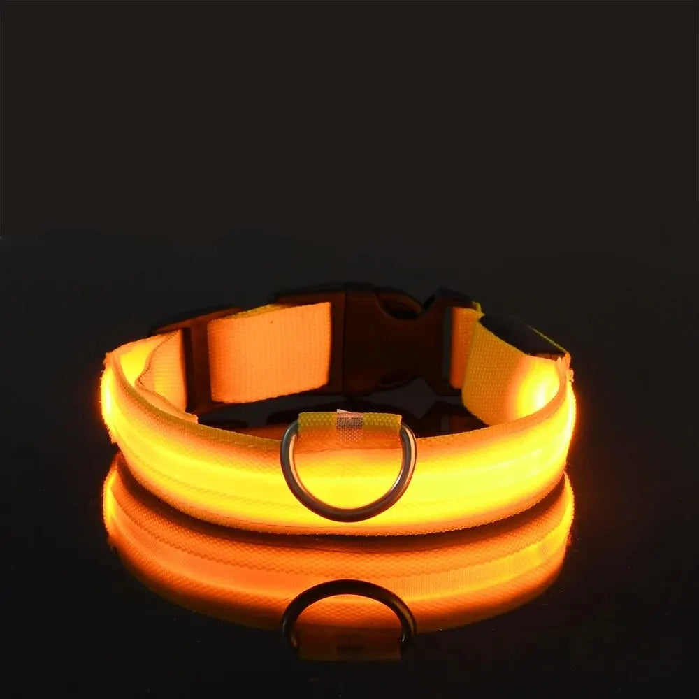 LED Glow Dog Leash & Collar