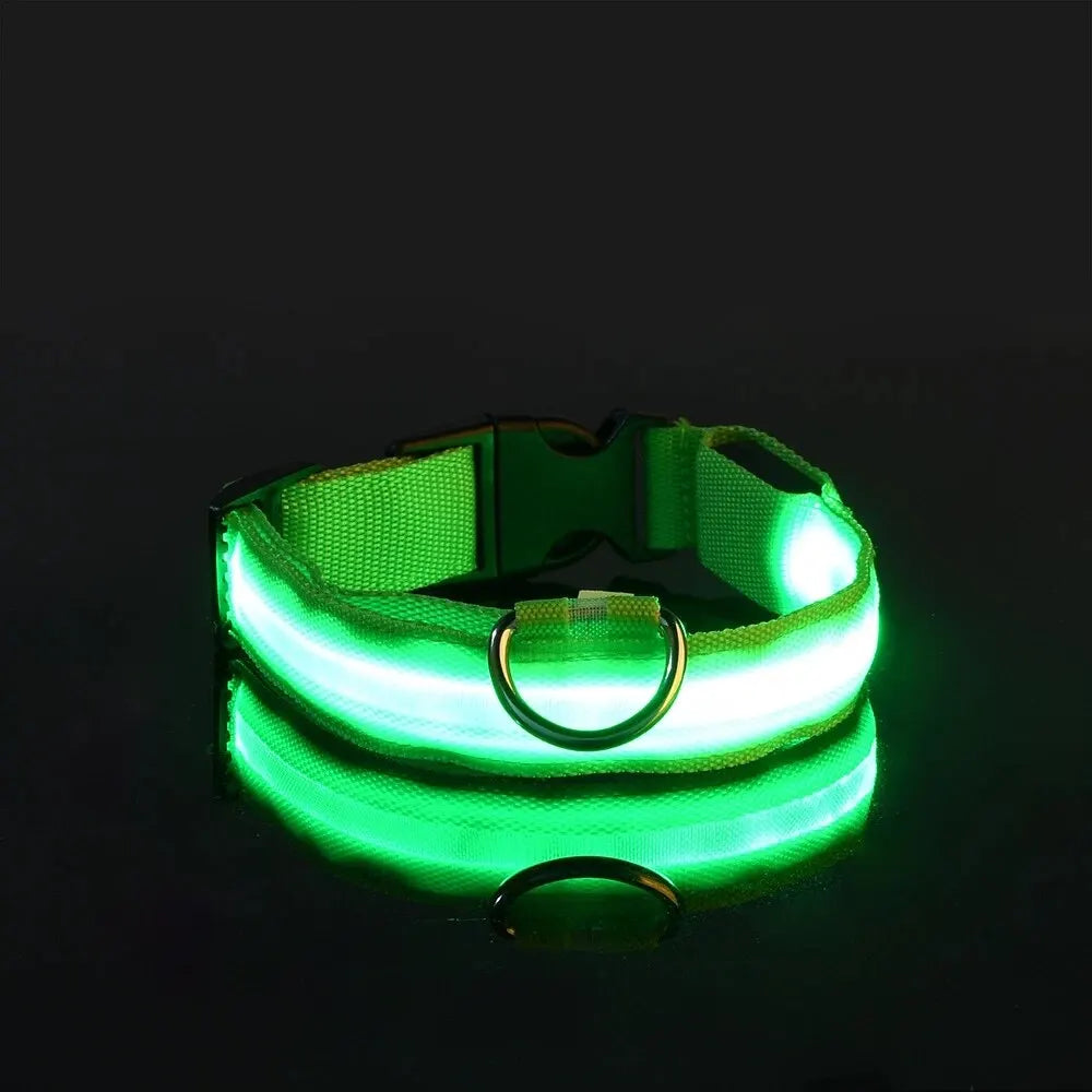 LED Glow Dog Leash & Collar
