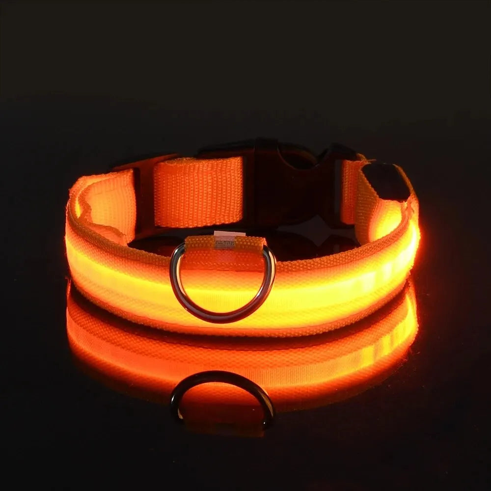 LED Glow Dog Leash & Collar