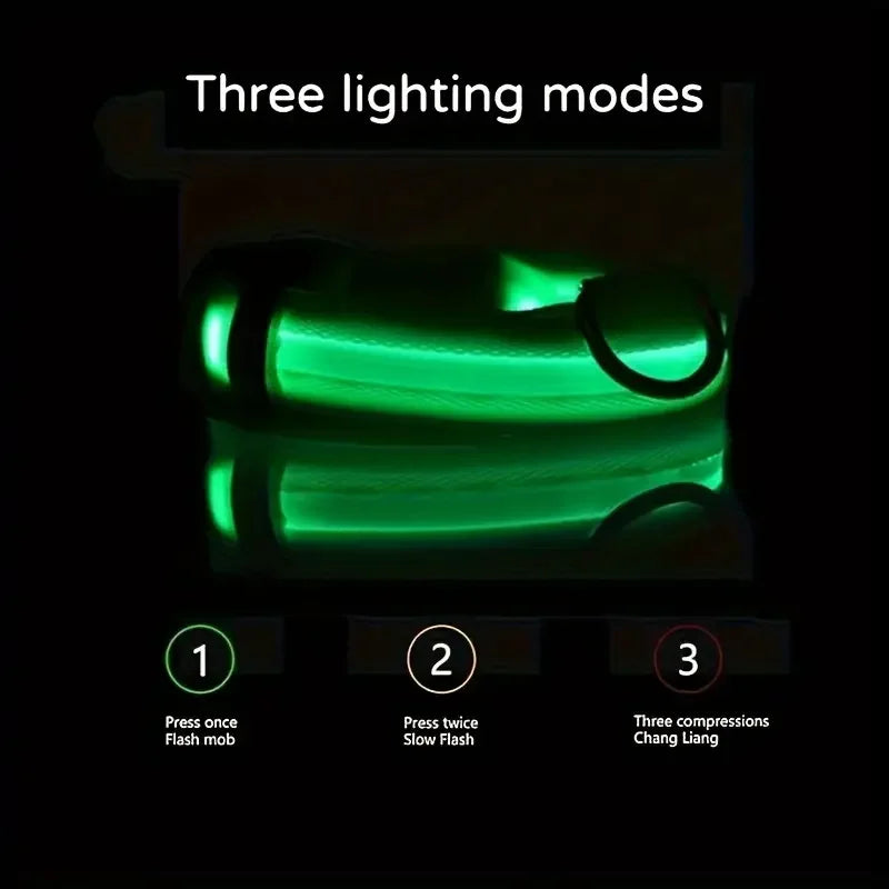 LED Glow Dog Leash & Collar