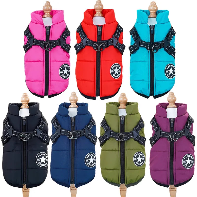 Winter Dog Jacket with Harness