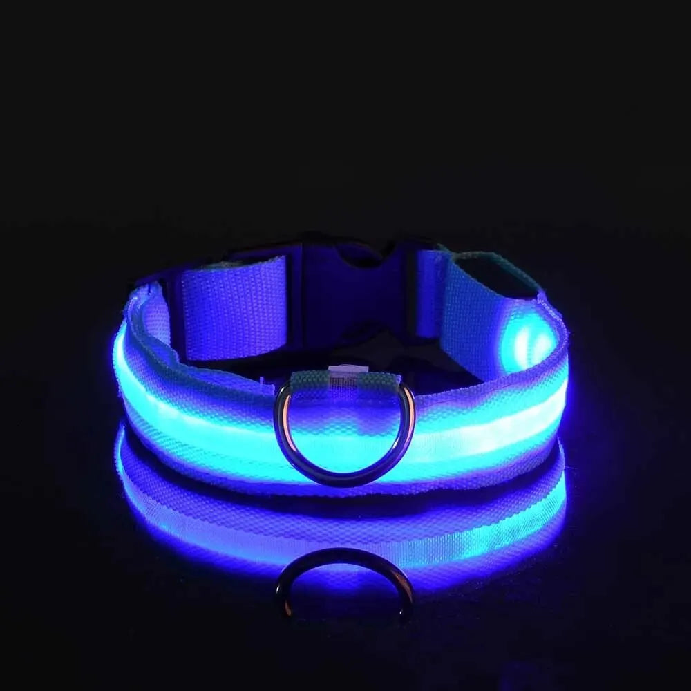 LED Glow Dog Leash & Collar