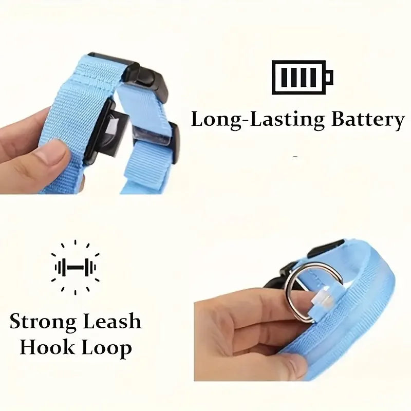 LED Glow Dog Leash & Collar