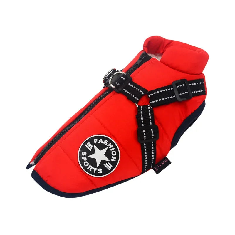 Winter Dog Jacket with Harness
