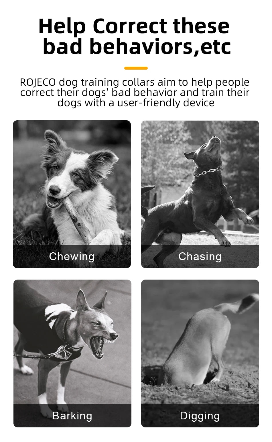 Rojeco Electric Dog Training Collar