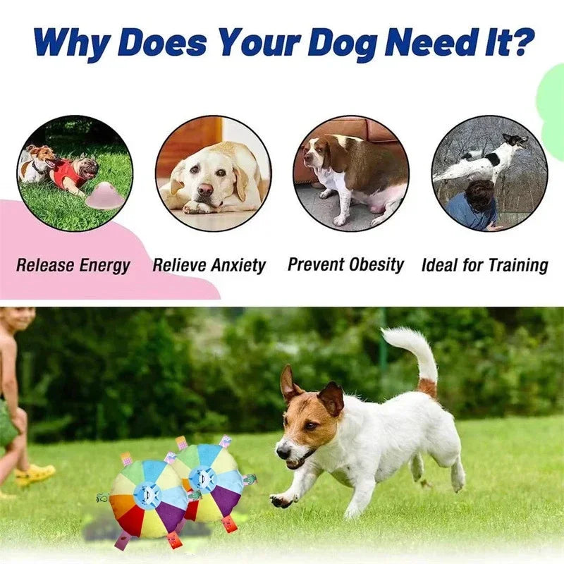 Funny Rainbow Plush Flying Saucer Dog Toy