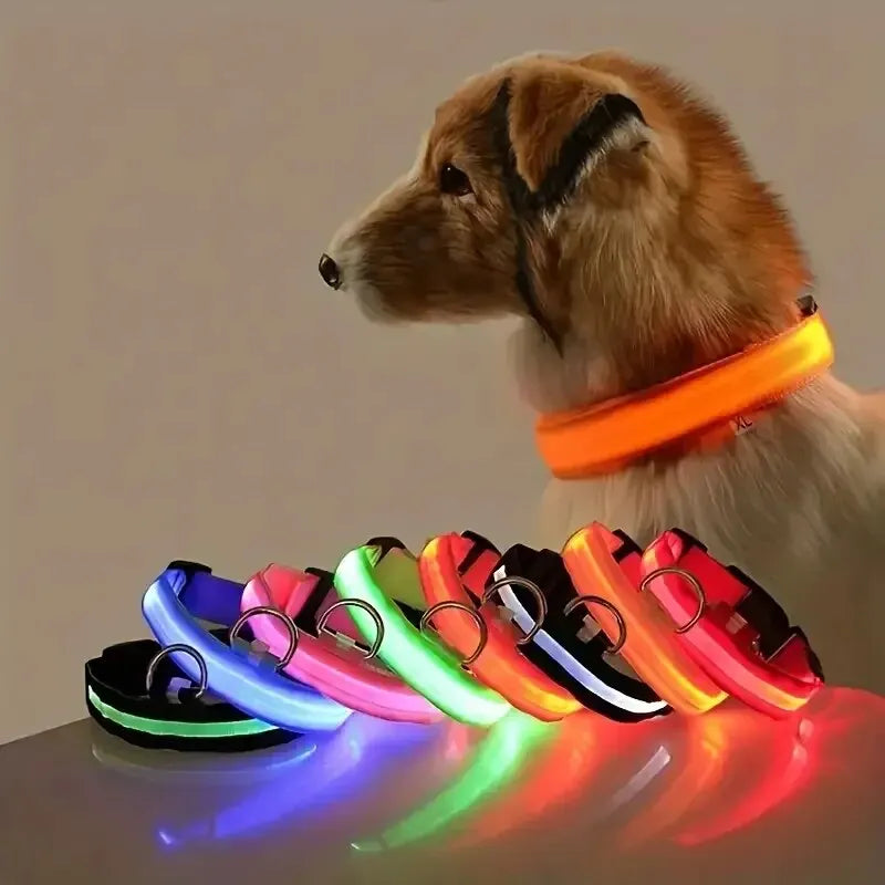 LED Glow Dog Leash & Collar