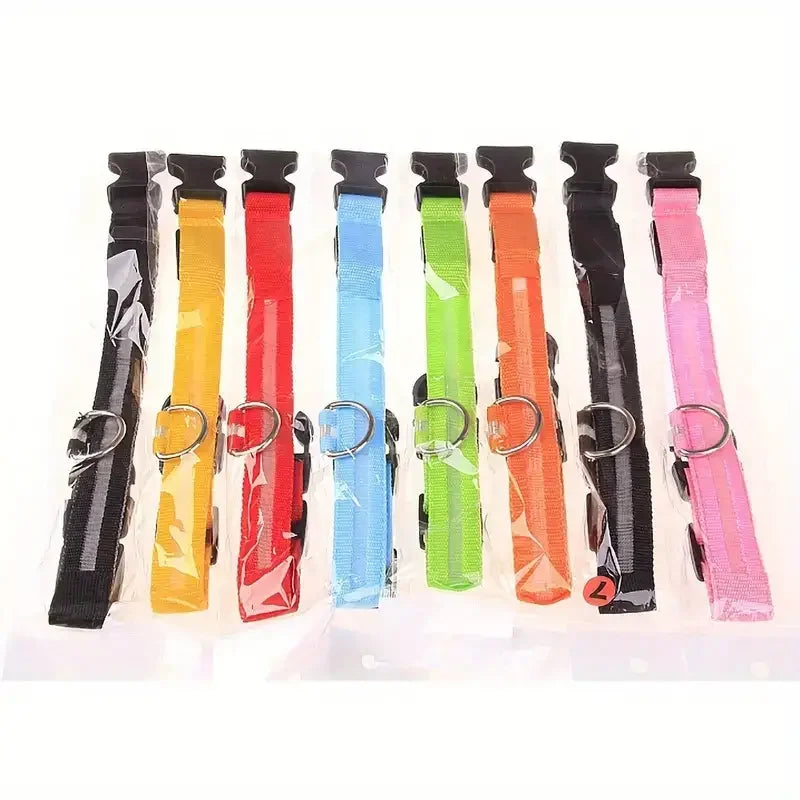 LED Glow Dog Leash & Collar