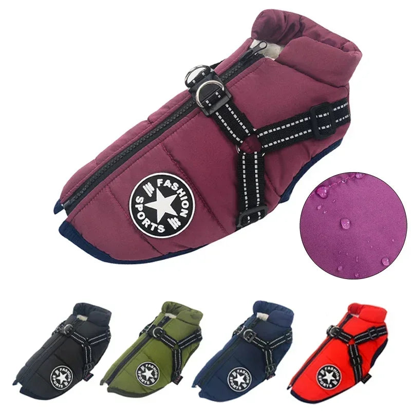 Winter Dog Jacket with Harness